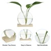 Unique Bargains Wooden Stand Hydroponic Collectible Glass Terrarium 2 Pcs - 2 of 4