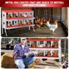 10-Hole Galvanized Chicken Nesting Box - Heavy Duty Egg Laying Box for Hens & Ducks | Rollout Egg Collection | Ventilated Design with Easy Access | - 4 of 4