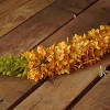 Northlight 44" Yellow/Green Foxtail Artificial Spring Crafting Stem - 3 of 3