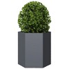 vidaXL Garden Planter Anthracite Steel Medium Tough Garden Planter - 3 of 4