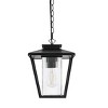 Elegant Lighting Gaul 10 Inch Outdoor Pendant in Black - 2 of 4