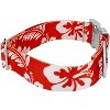 Country Brook Petz 1 1/2 Inch Premium Dog Collar - Summer Breeze Collection - 4 of 4