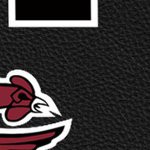south carolina gamecocks
