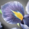 Sullivans Artificial Long Purple Iris Spray 31"H - 2 of 2