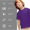 Louisiana State University Official Distressed Primary Logo Youth T Shirt, Purple - 4 of 4