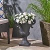 Syemin Planter, Antique Urn Style Planter, Elegant Decorative Flower Pot for Garden, Patio, Porch, Black, 15.5"*11.25"*19.25" - 4 of 4