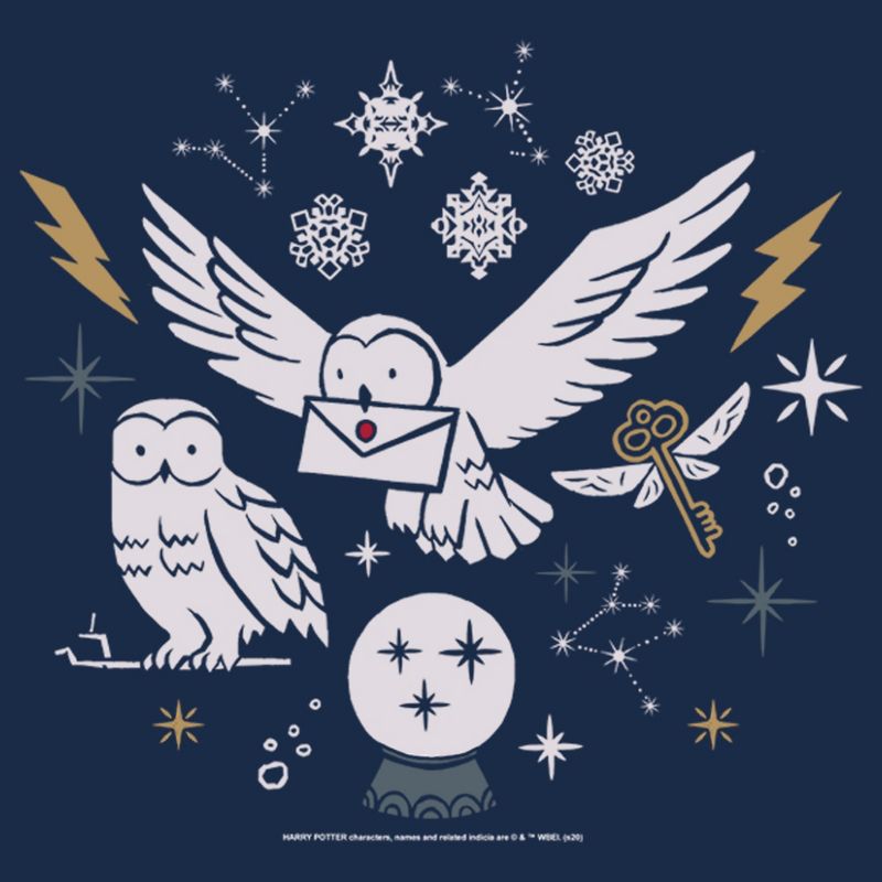Men's Harry Potter Hedwig Winter Owl T-Shirt, 2 of 5