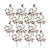 Boxwood Berry Twig Spray (Set of 12) - 3 of 3