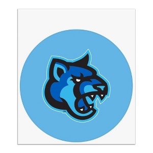 California State University San Marcos Secondary Logo Automotive Car Window Locker Circle Bumper Sticker - 1 of 4