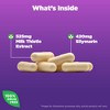 Natrol Milk Thistle Digestive Health Dietary Supplement Capsules - 60ct - 3 of 4