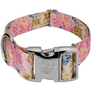 Country Brook Petz 1 1/2 Inch Premium Dog Collar Spring Collection - 1 of 4