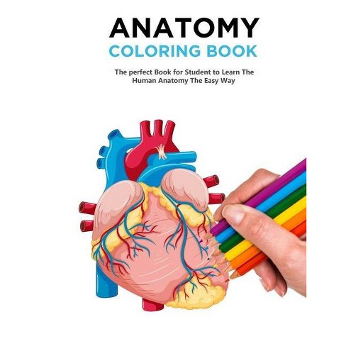 Download Anatomy Coloring Book By Timeline Publisher Mary Bloom Paperback Target