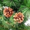 Northlight Pre-Lit Mixed Pine and Pine Cones Artificial Christmas Tree in Jute Base - 39" - Warm Clear LED Lights - 2 of 4