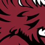 south carolina gamecocks
