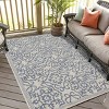Playa Rug Eliza Rectangle Woven Indoor Outdoor Rugs - 3 of 4