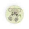 Dritz 18mm Recycled Cotton Koala Buttons Light Green - 3 of 4