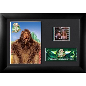 アクセサリー film style wizard 35% 1m Amazon.com - The Wizard of Oz – 85th Anniversary 20” x 19