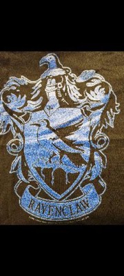 Girl\'s Harry T-shirt House Ravenclaw Crest Target Potter 