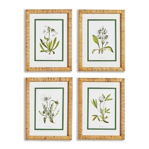 Plum & Post 11.75" x 15.75" White Floral Flowers Decorative Study Wall Art Prints w/ Bamboo Wrapped Frame, Set of 4 - 1 of 3