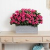 HomeStock  2.5 ft. Artificial Bougainvillea Tree in Planter for Indoor/Outdoor - 2 of 3
