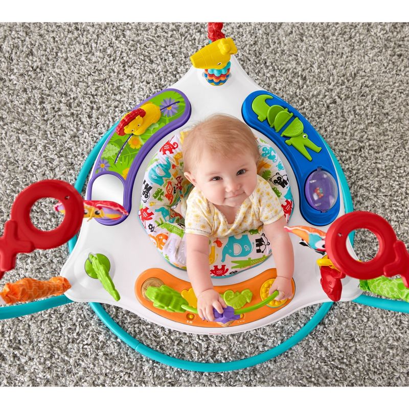Fisher-Price Animal Activity Jumperoo, 5 of 20