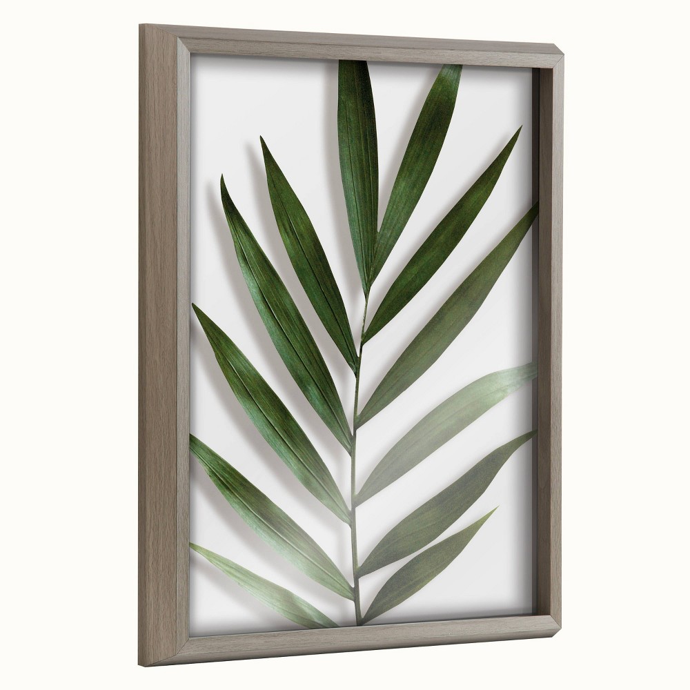 16"" x 20"" Blake Botanical 5F Framed Printed Glass by Amy Peterson Gray - Kate & Laurel All Things Decor -  86343049