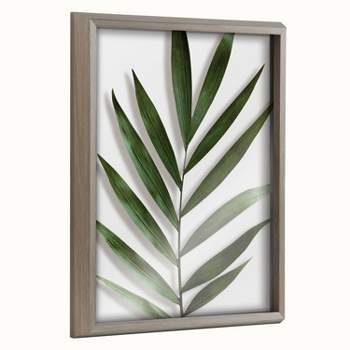 16" x 20" Blake Botanical 5F Framed Printed Glass by Amy Peterson - Kate & Laurel All Things Decor