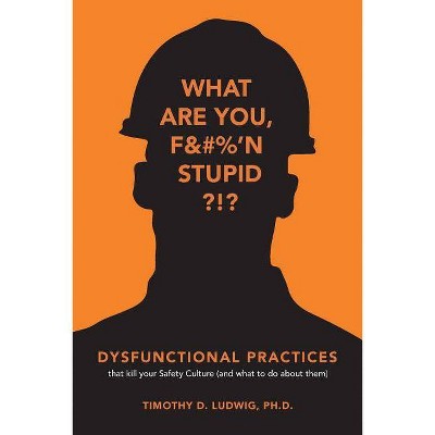 Dysfunctional Practices - by  Timothy D Ludwig Ph D (Paperback)