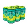 Rhinegeist Juicy Truth - 6pk/12 fl oz Cans - 3 of 4