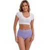 INSPIRE CHIC Women's High-Waisted Tummy Control Butt Lifting Postpartum Briefs 5 Packs - 4 of 4