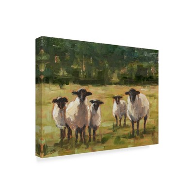 Trademark Fine Art -Ethan Harper 'Sheep Family I' Canvas Art