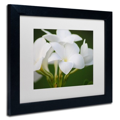 Trademark Fine Art - Monica Mize 'Picture Perfect' Matted Framed Art