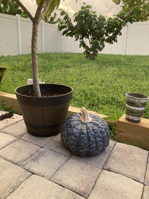 Guest review image 1 of 6, zoom in
