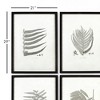 Plum & Post Framed Gray-Tone Fern Prints, Set Of 6 - 2 of 3