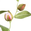 Artificial Tea Rose Spray (34'') Pink/Cream - Vickerman - image 3 of 4