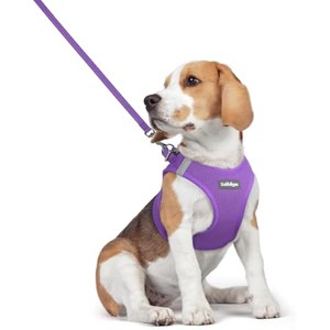 rabbitgoo Dog Harness Small Medium Sized and Leash Set, Step in Soft Light Puppy Pet Harness, Reflective for Safe Outdoor Walking, Purple L - 1 of 1