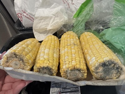 Guest review image 1 of 1, zoom in