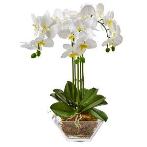 Nearly Natural Triple Phalaenopsis Orchid in Glass Vase - 1 of 3