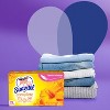 Suavitel Complete Scented Fabric Conditioner Dryer Sheets For Laundry -  Morning Sun - 70 Ct : Target