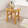 Costway 18" Teak Shower Bench Waterproof Spa Bath Stool for Shaving Legs for Bathroom - 2 of 4