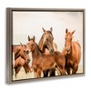 Stupell Industries Horse & Foals Photography, 21" x 17" - 3 of 4