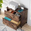 Tribesigns 2-Drawer File Cabinet, Lateral Filing Cabinet - 4 of 4
