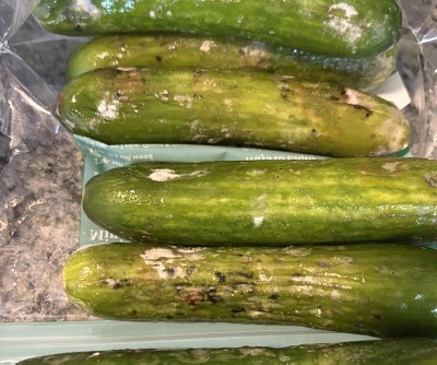 Guest review image 1 of 1, zoom in