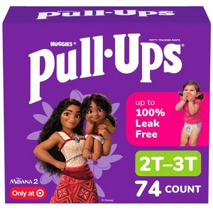 Pull-ups Girls' Learning Designs Training Pants Econ+ Pack - Size 2t-3t ...