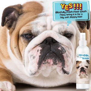 The Blissful Dog Blissfully Fresh Face Wash - 1 of 4