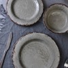 Itopfox Farmhouse Melamine Dinnerware Set, 12-Piece Rustic Plates and Bowls for Picnic, Camping, Indoor and Outdoor Use, Dishwasher Safe - 3 of 4