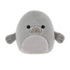 Squishville By Squishmallows 2 Blind Single Plush – 1 Mystery Plush In  Capsule (1 Ct) : Target