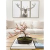 Nearly Natural Cherry Blossom Bonsai Silk Tree - 3 of 4