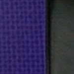 baltimore ravens