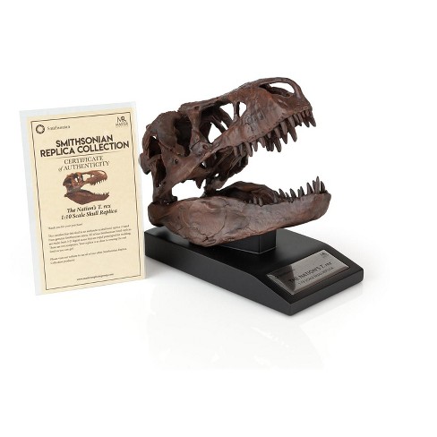 Smithsonian Prehistorian Sea Monster Kit : Target